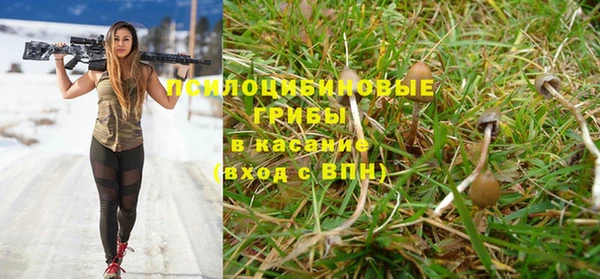 прущая мука Новодвинск