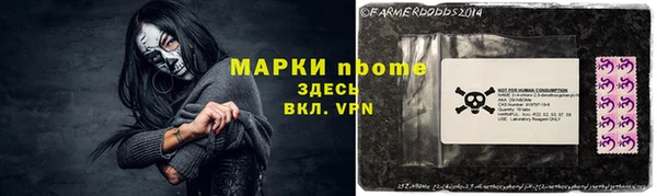 дмт Новозыбков