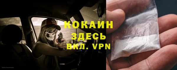 дмт Новозыбков