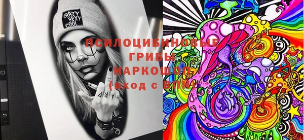 прущая мука Новодвинск