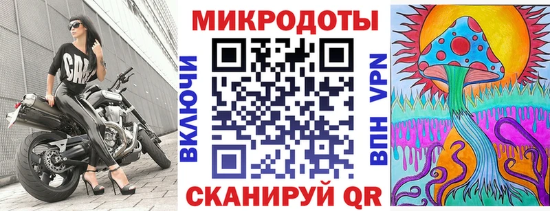 даркнет клад  где найти   Советская Гавань  Галлюциногенные грибы Psilocybine cubensis 