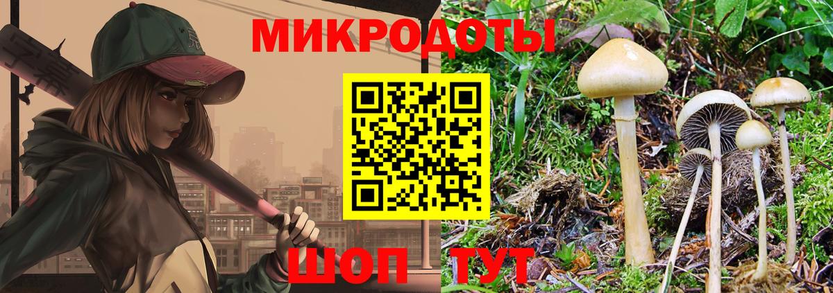 Галлюциногенные грибы Cubensis  Вход с VPN  Советская Гавань 